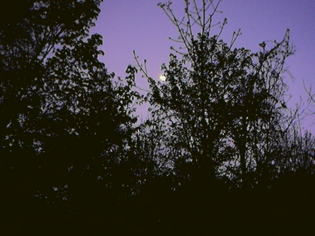 moon.jpg