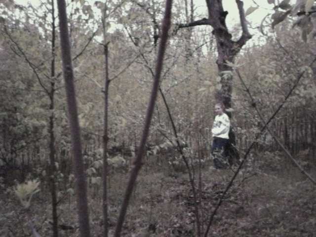 nikinthewoods.jpg